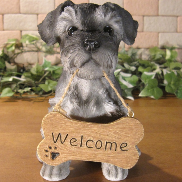 ����ʥ���������ʪ���ꥢ��ʸ�����ʪ�����󥦥��륫��ܡ��ɡ��ɥå������̤Υե����������֥���������ƥꥢ�������ǥ󡡥٥��������ȡ��������Υ���ƥꥢ�ˤ����Υ����ʥ��ȤȤ��Ƥ����