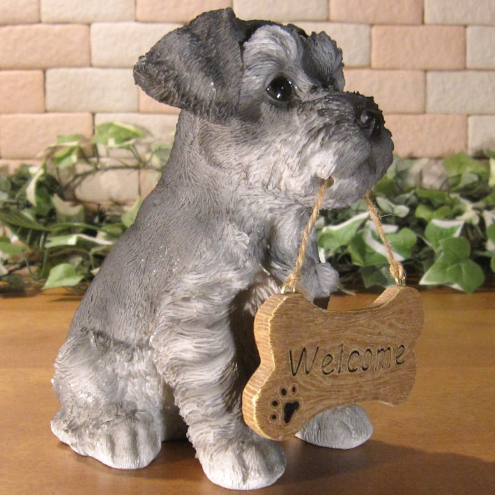 ����ʥ���������ʪ���ꥢ��ʸ�����ʪ�����󥦥��륫��ܡ��ɡ��ɥå������̤Υե����������֥���������ƥꥢ�������ǥ󡡥٥��������ȡ��������Υ���ƥꥢ�ˤ����Υ����ʥ��ȤȤ��Ƥ����