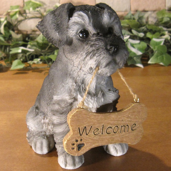 ����ʥ���������ʪ���ꥢ��ʸ�����ʪ�����󥦥��륫��ܡ��ɡ��ɥå������̤Υե����������֥���������ƥꥢ�������ǥ󡡥٥��������ȡ��������Υ���ƥꥢ�ˤ����Υ����ʥ��ȤȤ��Ƥ����