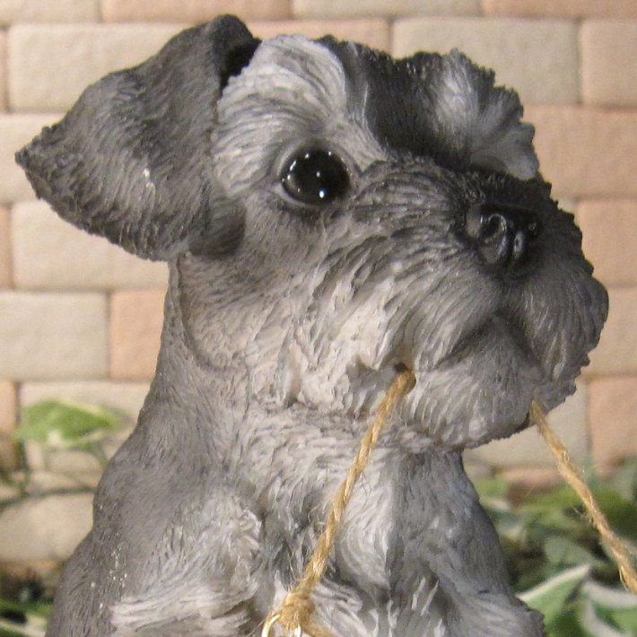 ����ʥ���������ʪ���ꥢ��ʸ�����ʪ�����󥦥��륫��ܡ��ɡ��ɥå������̤Υե����������֥���������ƥꥢ�������ǥ󡡥٥��������ȡ��������Υ���ƥꥢ�ˤ����Υ����ʥ��ȤȤ��Ƥ����