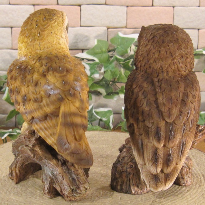 �ꥢ���Ļ����ʪ���դ����������糧�åȡ������롡�ե������������ǥ�Ź�������������󥿡������֥����������ʥ��ȡ��٥���������