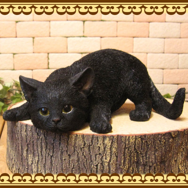 ǭ����ʪ���٥ӡ�����åȴƻ��桡�֥�å��������ͤ����֥������쥸�������ͥ��ե����奢������ƥꥢ�������ǥ˥��Ǻ�