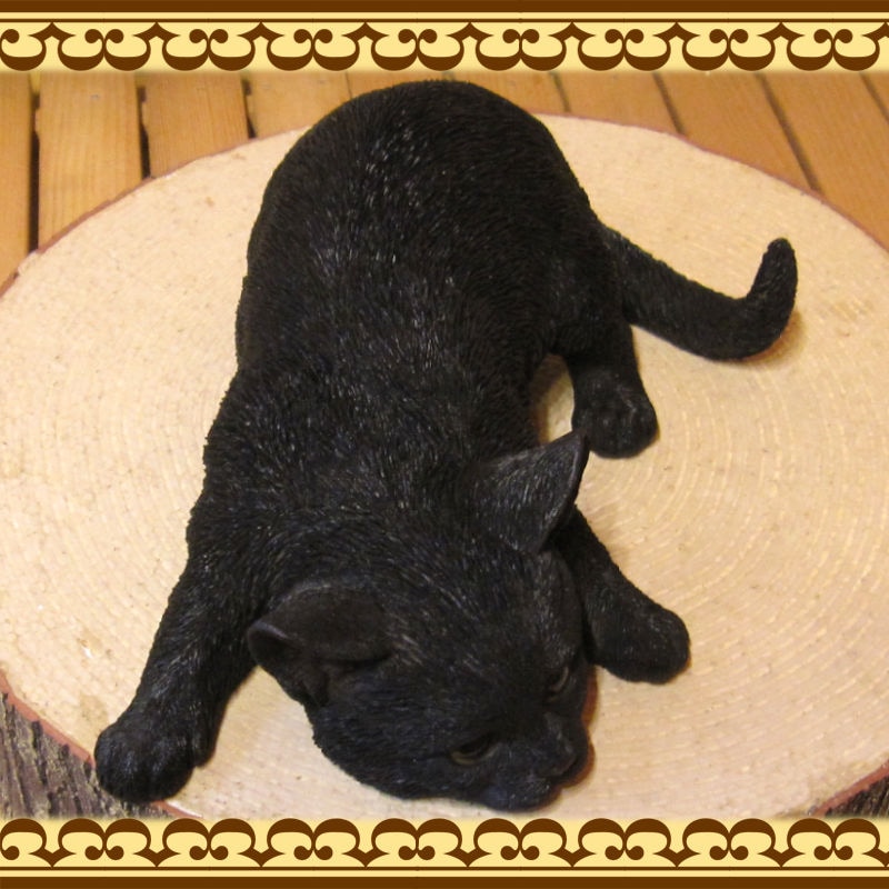 ǭ����ʪ���٥ӡ�����åȴƻ��桡�֥�å��������ͤ����֥������쥸�������ͥ��ե����奢������ƥꥢ�������ǥ˥��Ǻ�