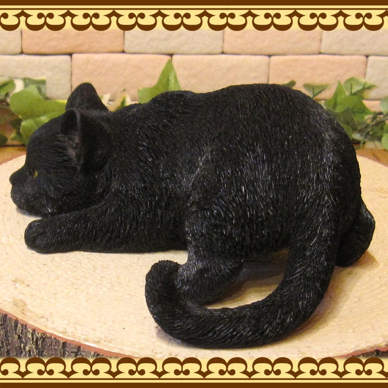 ǭ����ʪ���٥ӡ�����åȴƻ��桡�֥�å��������ͤ����֥������쥸�������ͥ��ե����奢������ƥꥢ�������ǥ˥��Ǻ�