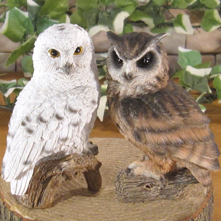 �ꥢ���Ļ����ʪ���դ����������⡼�륵�������糧�åȡ������롡�ե������������ǥ�Ź�������������󥿡������֥����������ʥ��ȡ��٥���������