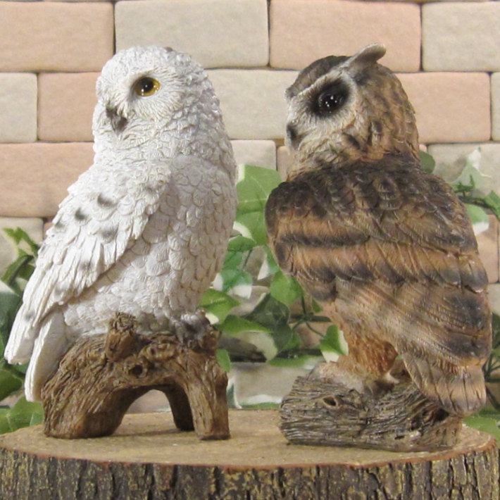 �ꥢ���Ļ����ʪ���դ����������⡼�륵�������糧�åȡ������롡�ե������������ǥ�Ź�������������󥿡������֥����������ʥ��ȡ��٥���������