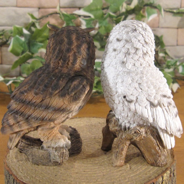 �ꥢ���Ļ����ʪ���դ����������⡼�륵�������糧�åȡ������롡�ե������������ǥ�Ź�������������󥿡������֥����������ʥ��ȡ��٥���������