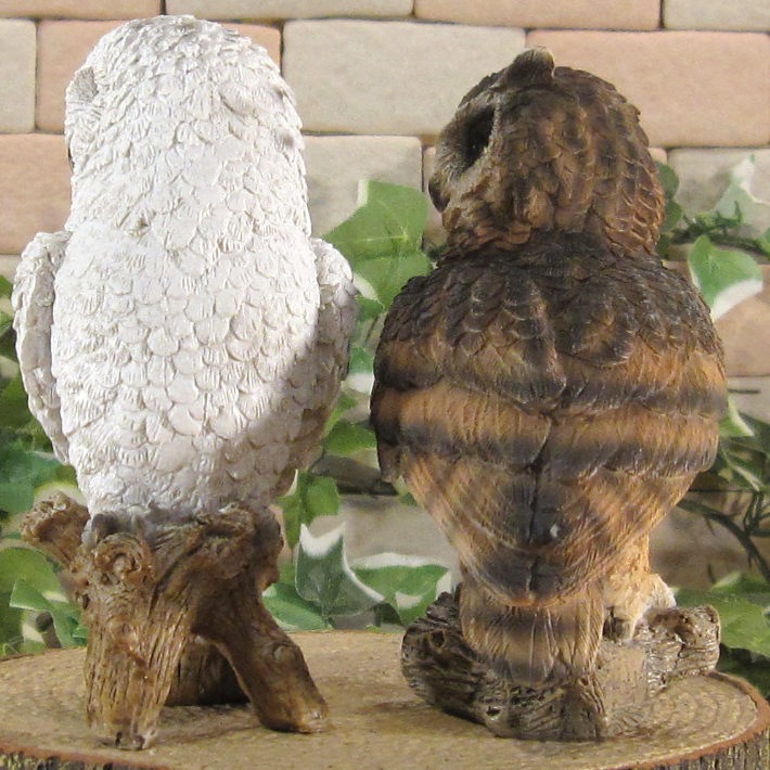 �ꥢ���Ļ����ʪ���դ����������⡼�륵�������糧�åȡ������롡�ե������������ǥ�Ź�������������󥿡������֥����������ʥ��ȡ��٥���������