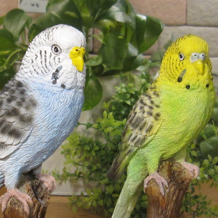 �ꥢ���Ļ����ʪ���쥸�������������������󥳡��ե�󥺡����åȡ��Ȥꡡ���֥������ȥꡡ�����ʥ��ȡ������ǥ˥󥰡�Ź�ޡ������󥿡����������ǥ��˥��������٥���������