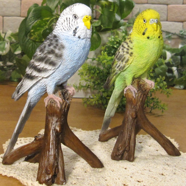 �ꥢ���Ļ����ʪ���쥸�������������������󥳡��ե�󥺡����åȡ��Ȥꡡ���֥������ȥꡡ�����ʥ��ȡ������ǥ˥󥰡�Ź�ޡ������󥿡����������ǥ��˥��������٥���������