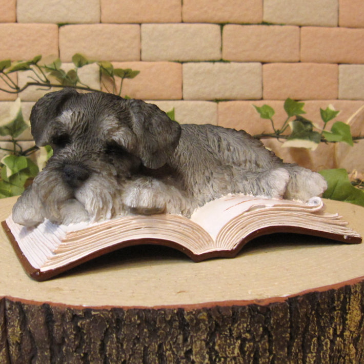 �ꥢ��ʸ�����ʪ������ʥ����������뿲�桪�����󡡥֥å����������Υ���ƥꥢ�ˤ����Υ����ʥ��ȤȤ��Ƥ�������Ҥ��̤Υե������������ǥ˥󥰡����֥�����������