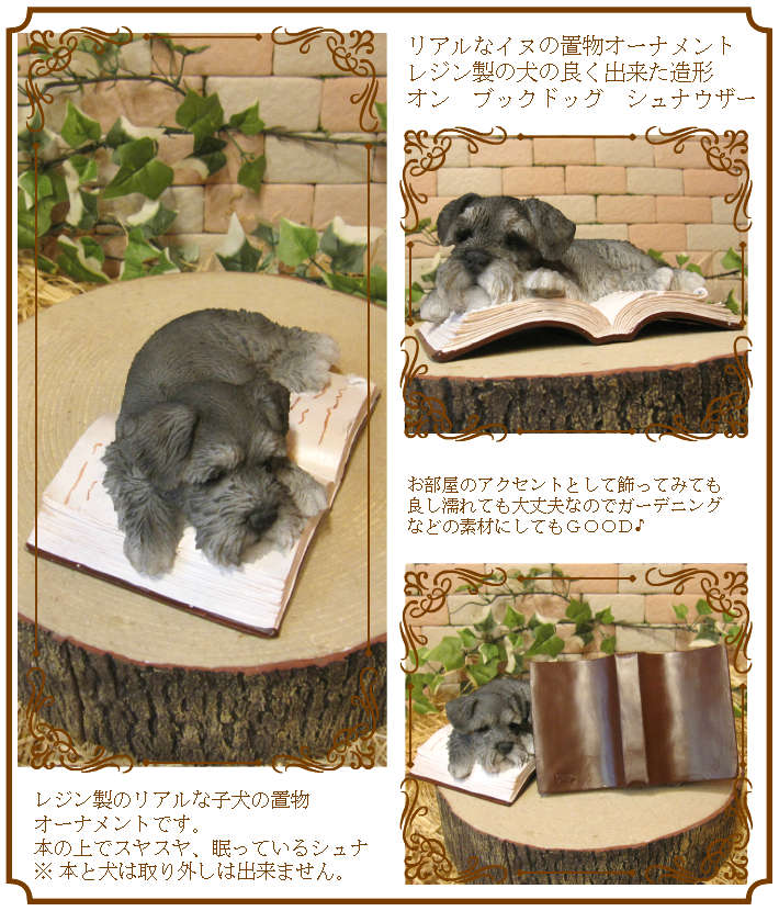 �ꥢ��ʸ�����ʪ������ʥ����������뿲�桪�����󡡥֥å����������Υ���ƥꥢ�ˤ����Υ����ʥ��ȤȤ��Ƥ�������Ҥ��̤Υե������������ǥ˥󥰡����֥�����������