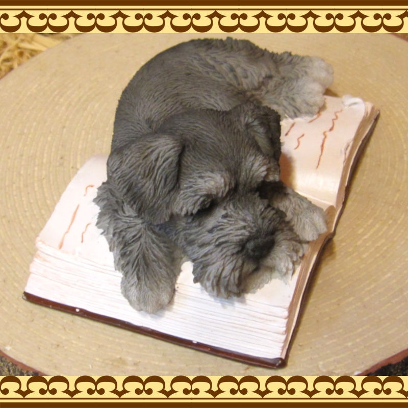 �ꥢ��ʸ�����ʪ������ʥ����������뿲�桪�����󡡥֥å����������Υ���ƥꥢ�ˤ����Υ����ʥ��ȤȤ��Ƥ�������Ҥ��̤Υե������������ǥ˥󥰡����֥�����������