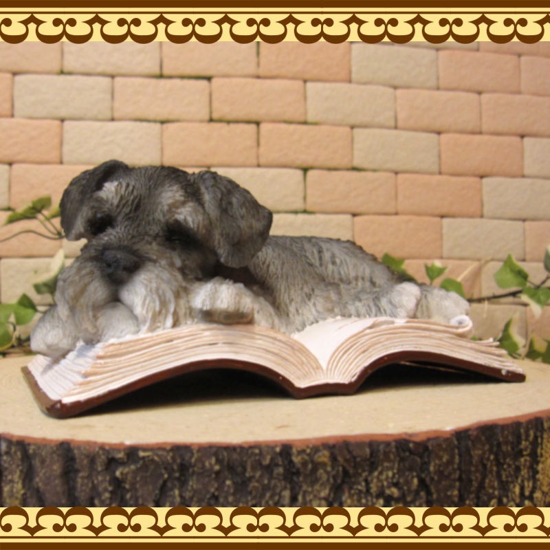 �ꥢ��ʸ�����ʪ������ʥ����������뿲�桪�����󡡥֥å����������Υ���ƥꥢ�ˤ����Υ����ʥ��ȤȤ��Ƥ�������Ҥ��̤Υե������������ǥ˥󥰡����֥�����������