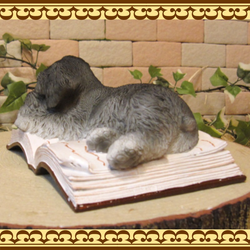 �ꥢ��ʸ�����ʪ������ʥ����������뿲�桪�����󡡥֥å����������Υ���ƥꥢ�ˤ����Υ����ʥ��ȤȤ��Ƥ�������Ҥ��̤Υե������������ǥ˥󥰡����֥�����������