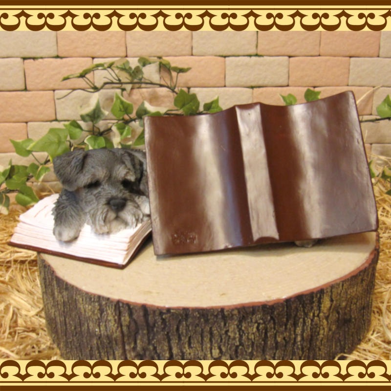 �ꥢ��ʸ�����ʪ������ʥ����������뿲�桪�����󡡥֥å����������Υ���ƥꥢ�ˤ����Υ����ʥ��ȤȤ��Ƥ�������Ҥ��̤Υե������������ǥ˥󥰡����֥�����������