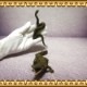 �ꥢ��ʡ���ˡ��ؤ���ʪ����ˡ����ʥ�������������åȡ�����ࡡ�ɡ��롡�ե����奢�������ǥ˥󥰡��إӡ���ˡ��ߥ˥��奢������ƥꥢ