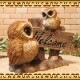 �ꥢ���Ļ����ʪ���դ������ƻҡ������륫�ॹ����ɡ��դ��������ե������Υե����奢�����������Υ���ƥꥢ�ˤ����Υ����ʥ��ȤȤ��Ƥ�