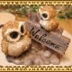 �ꥢ���Ļ����ʪ���դ������ƻҡ������륫�ॹ����ɡ��դ��������ե������Υե����奢�����������Υ���ƥꥢ�ˤ����Υ����ʥ��ȤȤ��Ƥ�