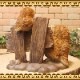 �ꥢ���Ļ����ʪ���դ������ƻҡ������륫�ॹ����ɡ��դ��������ե������Υե����奢�����������Υ���ƥꥢ�ˤ����Υ����ʥ��ȤȤ��Ƥ�