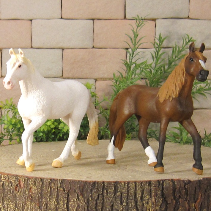 �ꥢ��ʡ��Ϥ���ʪ�����ޡ�Ⅽ�����ס��������åȡ��ɡ��롡�ե����奢�������ǥ˥󥰡����ޡ��ﵯʪ���ߥ˥��奢������ƥꥢ