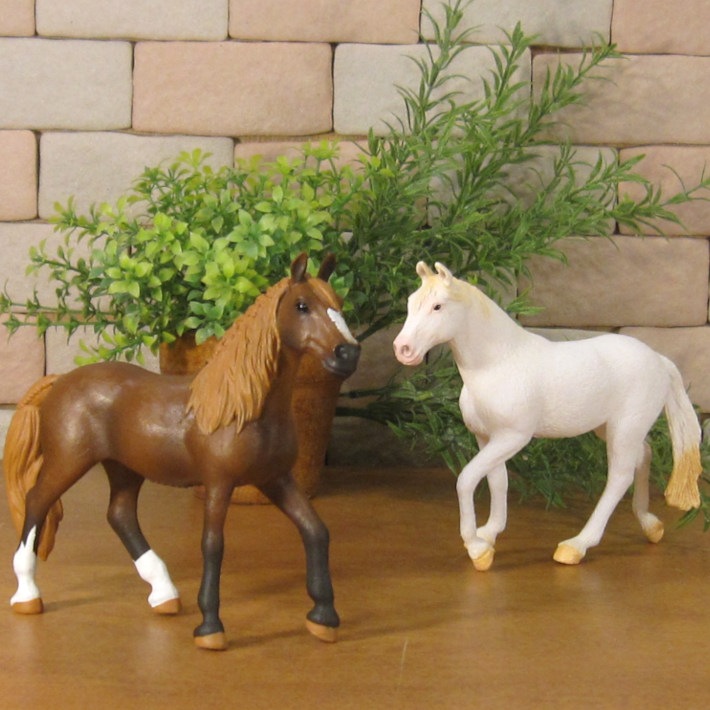 �ꥢ��ʡ��Ϥ���ʪ�����ޡ�Ⅽ�����ס��������åȡ��ɡ��롡�ե����奢�������ǥ˥󥰡����ޡ��ﵯʪ���ߥ˥��奢������ƥꥢ