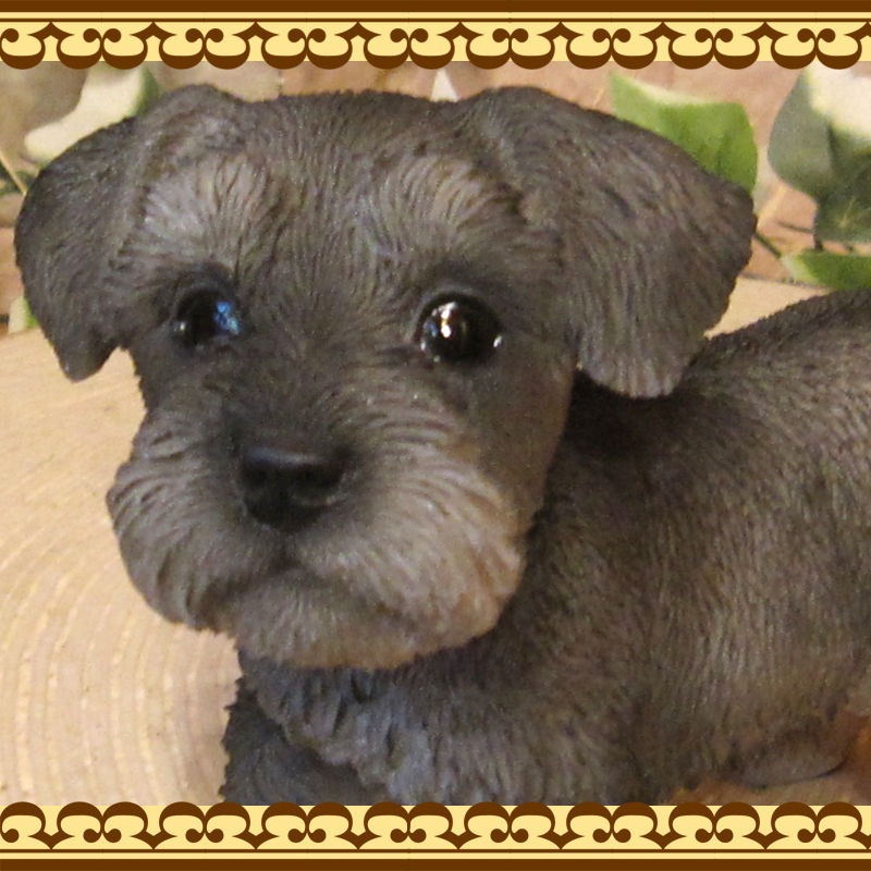 �ꥢ��ʸ�����ʪ������ʥ�������������ɡ����⡼����������Υ���ƥꥢ�ˤ����Υ����ʥ��ȤȤ��Ƥ�������Ҥ��̤Υե������������ǥ˥󥰡����֥�����������