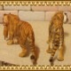 �ꥢ��ʡ��ȥ����ʪ���פοƻҡ��������åȡ��¥����ס��ɡ��롡�ե����奢�������ǥ˥󥰡��Ȥ顡�����������ҡ����١��ﵯʪ���ߥ˥��奢������ƥꥢ