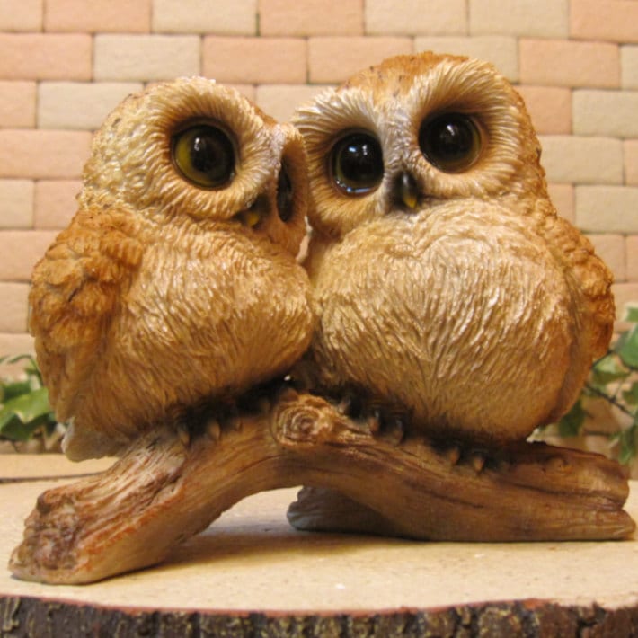 �ꥢ���Ļ����ʪ�����ź�����դ������ƻҡ��桡�����롡�ե������Υե����奢�����������Υ���ƥꥢ�ˤ����Υ����ʥ��ȤȤ��Ƥ�