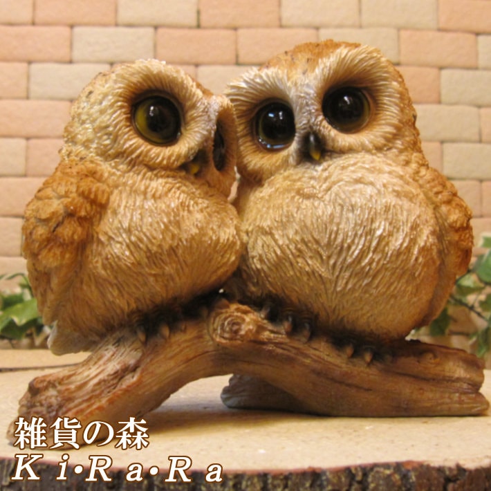 �ꥢ���Ļ����ʪ�����ź�����դ������ƻҡ��桡�����롡�ե������Υե����奢�����������Υ���ƥꥢ�ˤ����Υ����ʥ��ȤȤ��Ƥ�