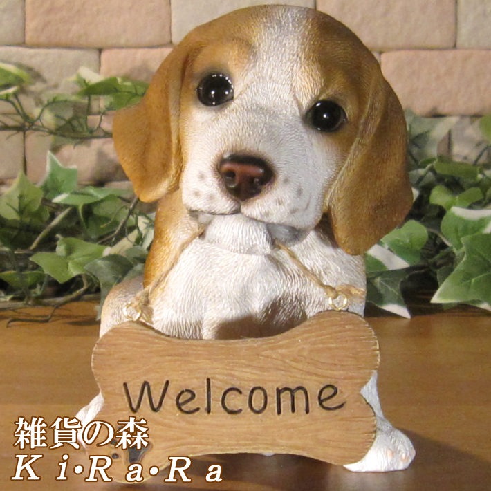 �ӡ����롡��ʪ���ꥢ��ʸ�����ʪ�����󥦥��륫��ܡ��ɡ��ɥå������̤Υե����������֥���������ƥꥢ�������ǥ󡡥٥��������ȡ��������Υ���ƥꥢ�ˤ����Υ����ʥ��ȤȤ��Ƥ����