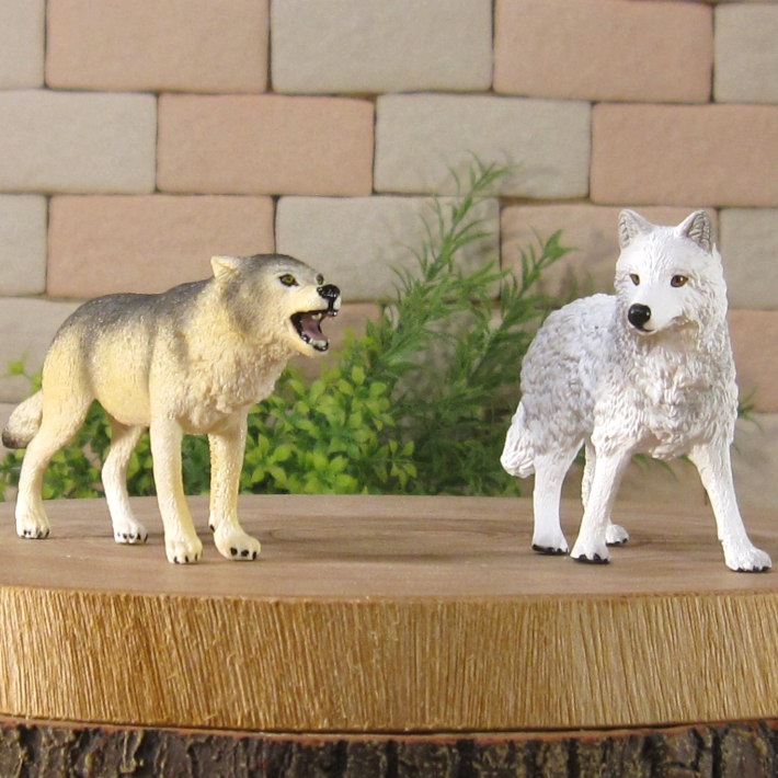 �ꥢ��ʡ�ϵ����ʪ���������ߡ��������åȡ��ɡ��롡�ե����奢�������ǥ˥󥰡��������ߡ�����ա��ߥ˥��奢������ƥꥢ