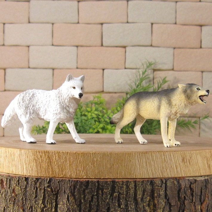 �ꥢ��ʡ�ϵ����ʪ���������ߡ��������åȡ��ɡ��롡�ե����奢�������ǥ˥󥰡��������ߡ�����ա��ߥ˥��奢������ƥꥢ