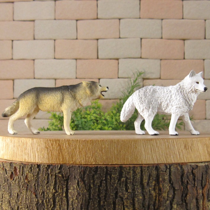 �ꥢ��ʡ�ϵ����ʪ���������ߡ��������åȡ��ɡ��롡�ե����奢�������ǥ˥󥰡��������ߡ�����ա��ߥ˥��奢������ƥꥢ