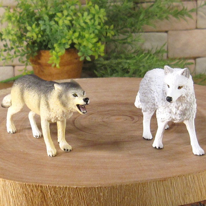 �ꥢ��ʡ�ϵ����ʪ���������ߡ��������åȡ��ɡ��롡�ե����奢�������ǥ˥󥰡��������ߡ�����ա��ߥ˥��奢������ƥꥢ