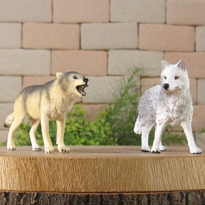 �ꥢ��ʡ�ϵ����ʪ���������ߡ��������åȡ��ɡ��롡�ե����奢�������ǥ˥󥰡��������ߡ�����ա��ߥ˥��奢������ƥꥢ