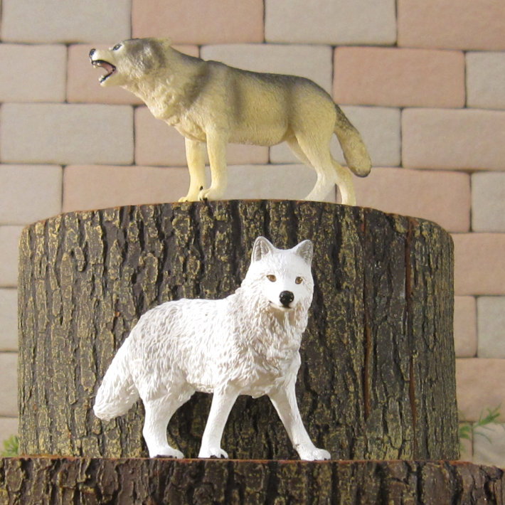 �ꥢ��ʡ�ϵ����ʪ���������ߡ��������åȡ��ɡ��롡�ե����奢�������ǥ˥󥰡��������ߡ�����ա��ߥ˥��奢������ƥꥢ