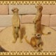 �ꥢ��ʡ�ưʪ����ʪ���ߡ�������åȡ��������åȡ��ɡ��롡�ե����奢�������ǥ˥󥰡��ߥ˥��奢������ƥꥢ