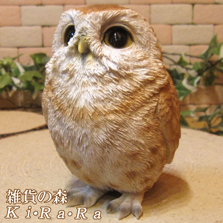 ꥢĻʪ٥ӡդ¡եΥե奢ΥƥꥢˤΥʥȤȤƤ