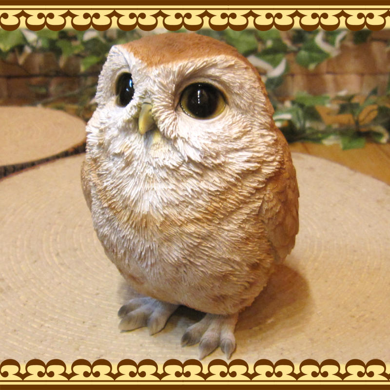 ꥢĻʪ٥ӡդ¡եΥե奢ΥƥꥢˤΥʥȤȤƤ