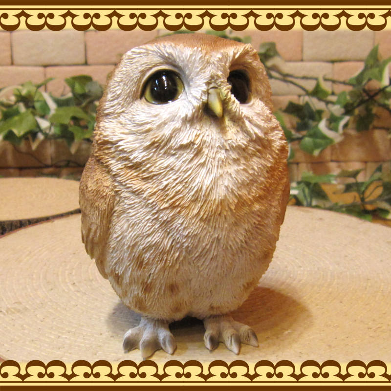 ꥢĻʪ٥ӡդ¡եΥե奢ΥƥꥢˤΥʥȤȤƤ