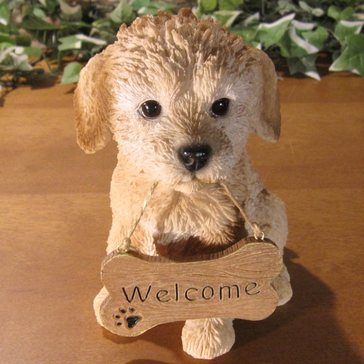 �ס��ɥ롡��ʪ���ꥢ��ʸ�����ʪ�����󥦥��륫��ܡ��ɡ��ɥå������̤Υե����������֥���������ƥꥢ�������ǥ󡡥٥��������ȡ��������Υ���ƥꥢ�ˤ����Υ����ʥ��ȤȤ��Ƥ����