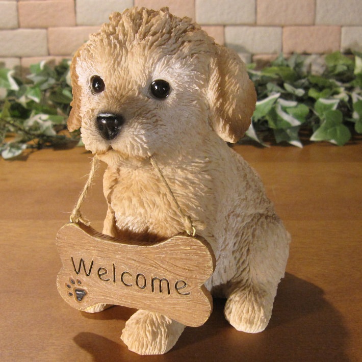 �ס��ɥ롡��ʪ���ꥢ��ʸ�����ʪ�����󥦥��륫��ܡ��ɡ��ɥå������̤Υե����������֥���������ƥꥢ�������ǥ󡡥٥��������ȡ��������Υ���ƥꥢ�ˤ����Υ����ʥ��ȤȤ��Ƥ����