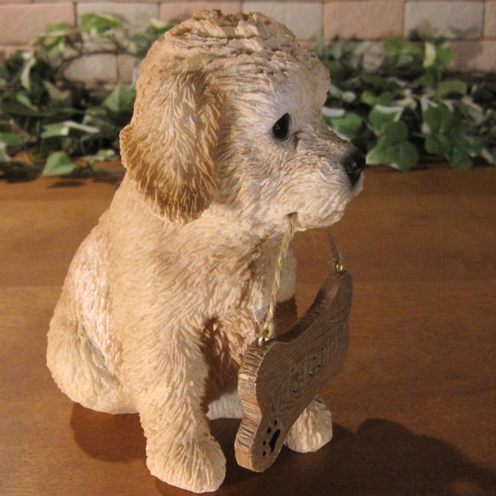 �ס��ɥ롡��ʪ���ꥢ��ʸ�����ʪ�����󥦥��륫��ܡ��ɡ��ɥå������̤Υե����������֥���������ƥꥢ�������ǥ󡡥٥��������ȡ��������Υ���ƥꥢ�ˤ����Υ����ʥ��ȤȤ��Ƥ����