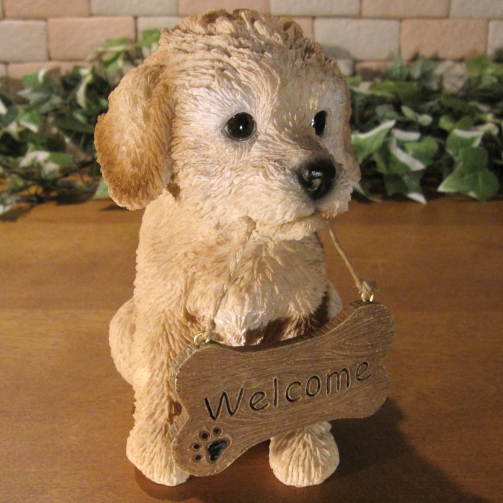 �ס��ɥ롡��ʪ���ꥢ��ʸ�����ʪ�����󥦥��륫��ܡ��ɡ��ɥå������̤Υե����������֥���������ƥꥢ�������ǥ󡡥٥��������ȡ��������Υ���ƥꥢ�ˤ����Υ����ʥ��ȤȤ��Ƥ����