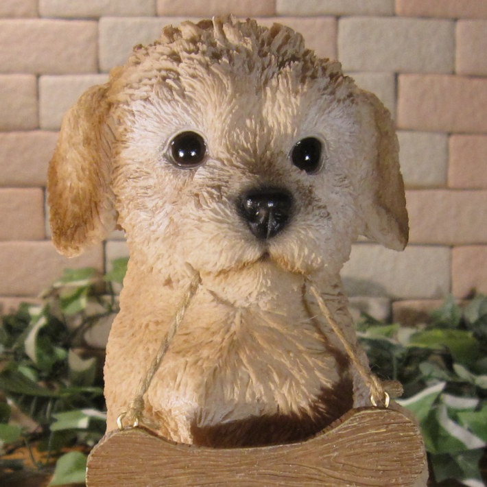 �ס��ɥ롡��ʪ���ꥢ��ʸ�����ʪ�����󥦥��륫��ܡ��ɡ��ɥå������̤Υե����������֥���������ƥꥢ�������ǥ󡡥٥��������ȡ��������Υ���ƥꥢ�ˤ����Υ����ʥ��ȤȤ��Ƥ����