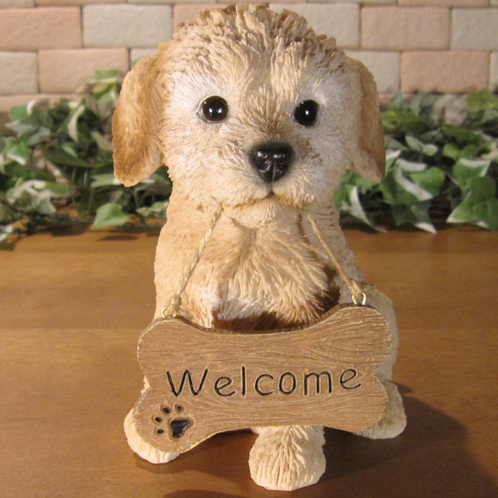 �ס��ɥ롡��ʪ���ꥢ��ʸ�����ʪ�����󥦥��륫��ܡ��ɡ��ɥå������̤Υե����������֥���������ƥꥢ�������ǥ󡡥٥��������ȡ��������Υ���ƥꥢ�ˤ����Υ����ʥ��ȤȤ��Ƥ����