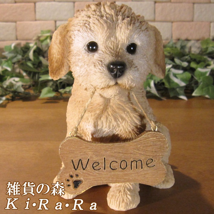 �ס��ɥ롡��ʪ���ꥢ��ʸ�����ʪ�����󥦥��륫��ܡ��ɡ��ɥå������̤Υե����������֥���������ƥꥢ�������ǥ󡡥٥��������ȡ��������Υ���ƥꥢ�ˤ����Υ����ʥ��ȤȤ��Ƥ����