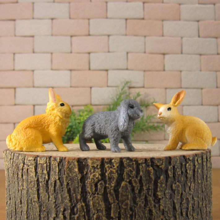 �ꥢ��ʡ�����������ʪ����ӥåȡ��������åȡ������������֥������ɡ��롡�ե����奢�������ǥ˥󥰡��ߥ˥��奢������ƥꥢ