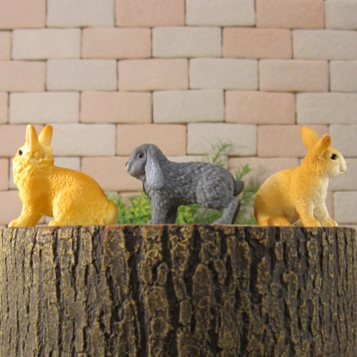 �ꥢ��ʡ�����������ʪ����ӥåȡ��������åȡ������������֥������ɡ��롡�ե����奢�������ǥ˥󥰡��ߥ˥��奢������ƥꥢ